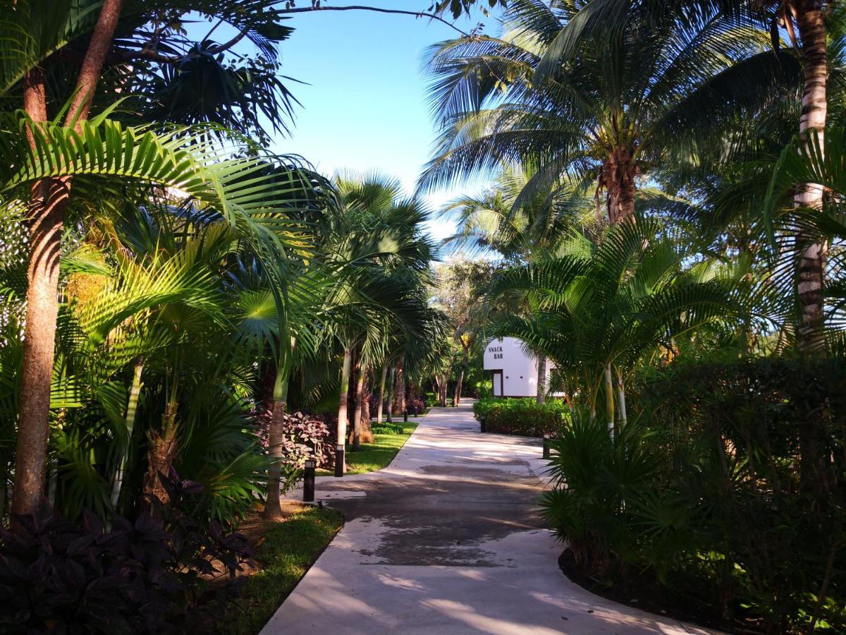 Beachside Corasol El Amanecer De Frida Para 2 Personas Πλάγια Ντελ Κάρμεν Εξωτερικό φωτογραφία
